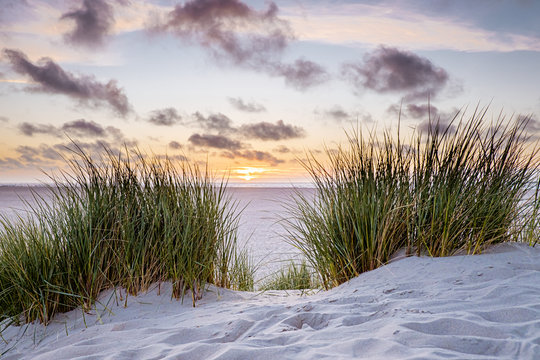 Beach Dunes Texel Island Netherlands Sunset