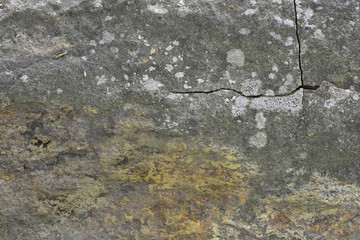 Surface of Rock