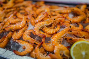 fresh shrimps seafood on ice in buffet line at luxury restaurant