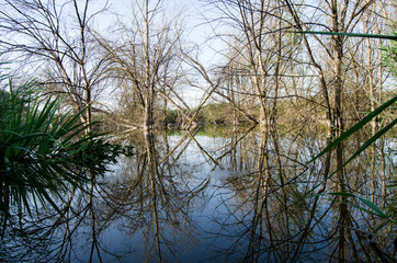 Obraz premium Laguna de Padul (Granada) España