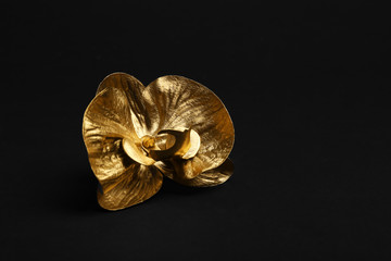 Gold decorative orchid flower on black background. Space for text