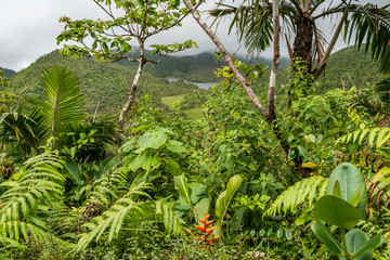  Freshwater Lake Views around the caribbean island of Dominica West indies