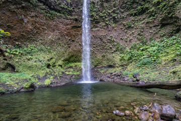  Emerlad Pool and Waterfall Views around the caribbean island of Dominica West indies