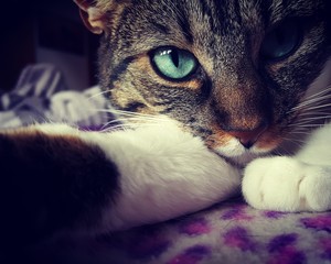 behind blue eyes
