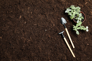 Flat lay composition with gardening equipment on soil, space for text
