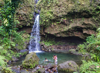  Emerlad Pool and Waterfall Views around the caribbean island of Dominica West indies