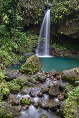 Fototapeta na wymiar Emerlad Pool and Waterfall Views around the caribbean island of Dominica West indies