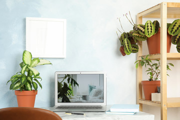 Houseplants and laptop on table in office interior