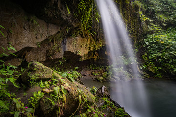 Naklejka na ściany i meble Emerlad Pool and Waterfall Views around the caribbean island of Dominica West indies