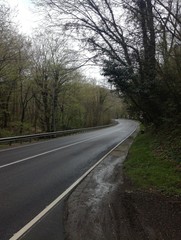 Fototapeta premium The road from forest