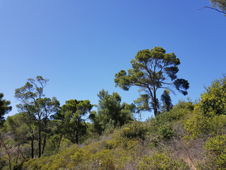Paesaggio