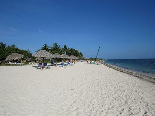 Palm trees, white sandy beach and turquoise water in Tulum beach, Mexico