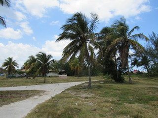 Fototapeta na wymiar Sabang Beach with palm trees in Puerto Princesa, Philippines 