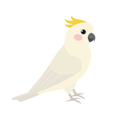Cockatoo, cute bird. Isolated vector illustration
