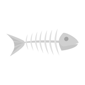 fish skeleton. Isolated vector illustration