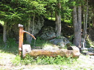wooden fountain made out of a tree on a sunny day in a forest
