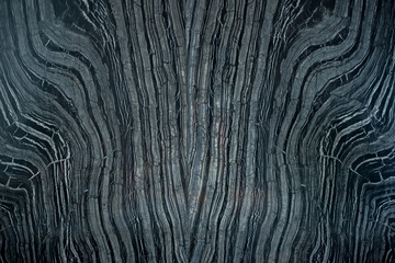 Full black forest marble wall , Black and white marble with pattern like big tree