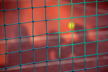 Tennis Ball with Net in the Background