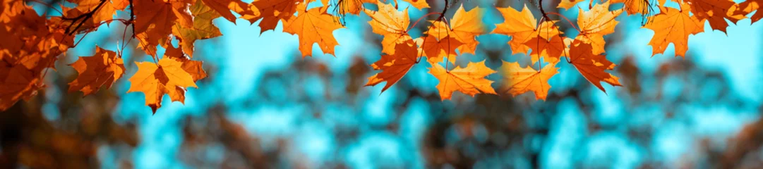 Foto op Canvas Banner autumn background © lms_lms