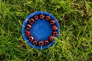 red cherry on the grass