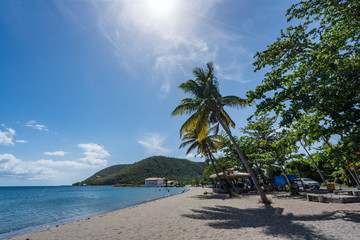  Purple Turtle Beach Views around the caribbean island of Dominica West indies