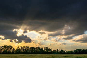 Fototapeta na wymiar Wheat fields with beautiful clouds on the horizon