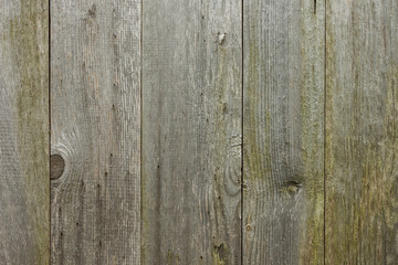 Wooden texture. The wall of old wooden boards. Close-up, Background