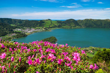 Close up beautiful view of pink flowers to background lake. Azores, Sao Miguel, Portugal