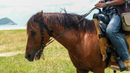Man riding horse on the beach