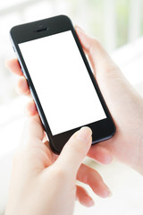 Woman typing on mobile phone isolated  white screen