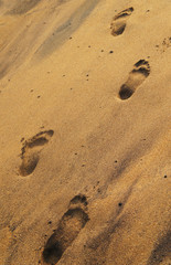 Footprints in the sand on the beach in the southern tropical resort in summer.