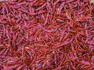 Fototapeta premium Selective focus dried red chilli background.