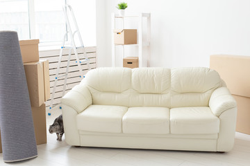 Curious gray scottish fold cat is exploring a new apartment after moving. The concept of animal life in the apartment and taking care of cats.