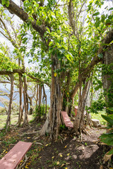  Views around the caribbean island of Dominica West indies