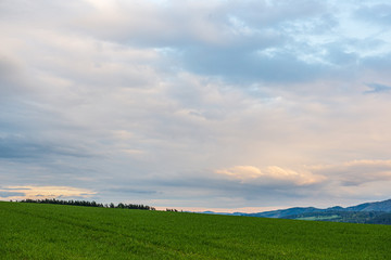 Obraz premium countryside landscape under blue sky and dramatic white clouds