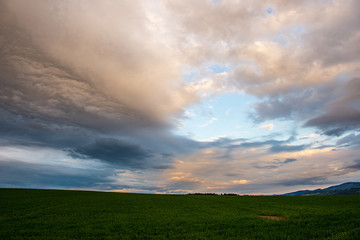 countryside landscape under blue sky and dramatic white clouds