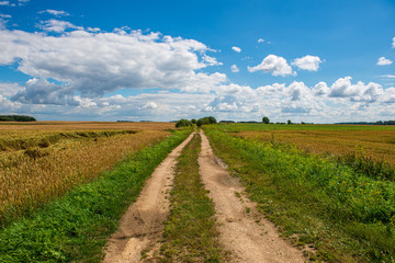 simple countryside dirt road in spring