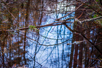 Obraz premium river in summer green shores with tree reflections in water