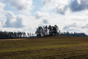 countryside landscape under blue sky and dramatic white clouds