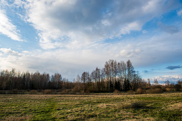 Fototapeta na wymiar countryside landscape under blue sky and dramatic white clouds