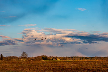 countryside landscape under blue sky and dramatic white clouds
