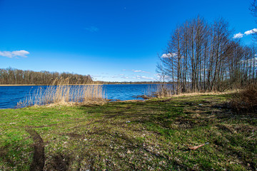 spring by the lake with green foliage grass in meadow and blue water