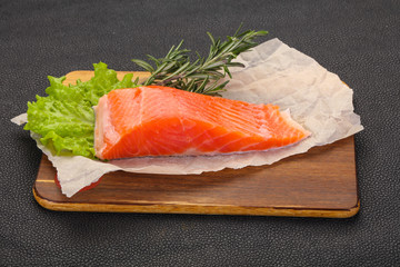 Piece of raw salmon