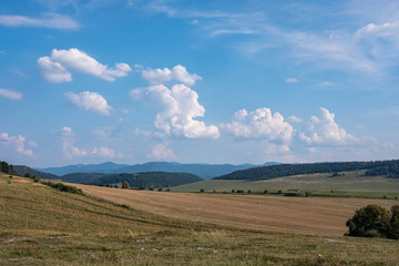 Fototapeta na wymiar countryside landscape under blue sky and dramatic white clouds