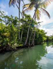  Views around the caribbean island of Dominica West indies