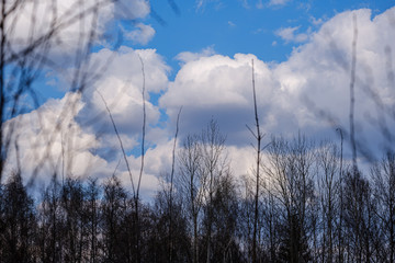 countryside landscape under blue sky and dramatic white clouds