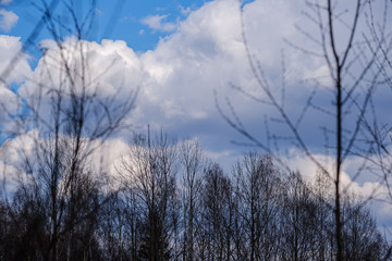 countryside landscape under blue sky and dramatic white clouds