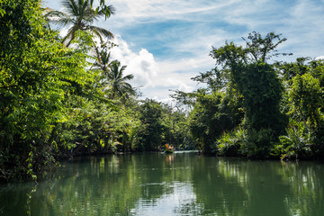  Views around the caribbean island of Dominica West indies