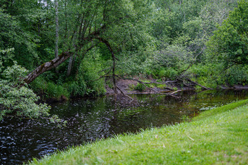 Fototapeta na wymiar river in summer green shores with tree reflections in water