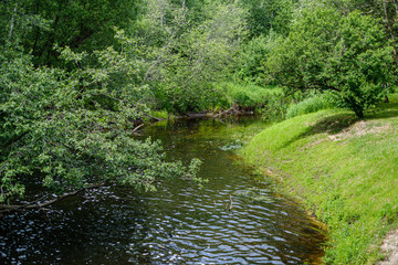 river in summer green shores with tree reflections in water